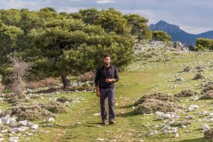 Observación de fauna