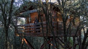 Turismo sostenible en casas de madera