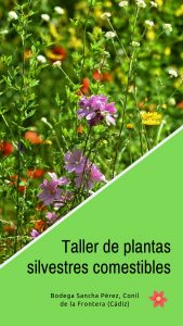 Taller de plantas silvestres comestibles